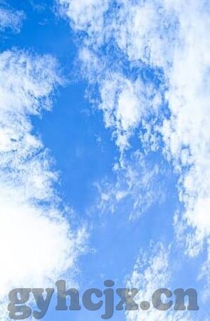 大象传媒免费观看网址-免费观看大象传媒的合法与风险考量
