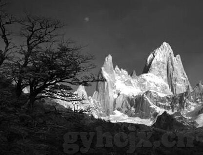 糖心vlog小桃挑战-糖心世界，小桃挑战的甜蜜时刻