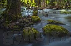 一区二区三区在线-探索一区二区三区的在线世界，解锁数字时代的多元学习与交流新篇章